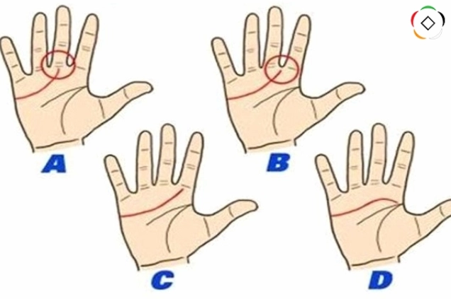 Hình ảnh minh họa cách xác định đường tình duyên trên lòng bàn tay