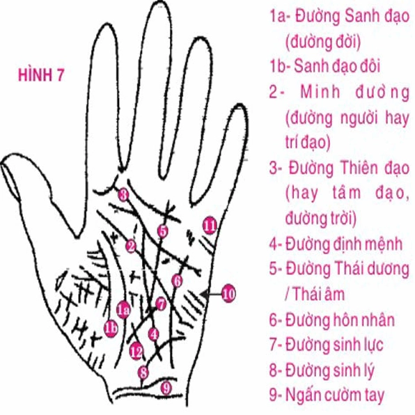 Hình ảnh một người đang xem bói chỉ tay để giải đoán vận mệnh