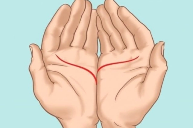 Minh họa các đường chỉ tay và gò trên bàn tay