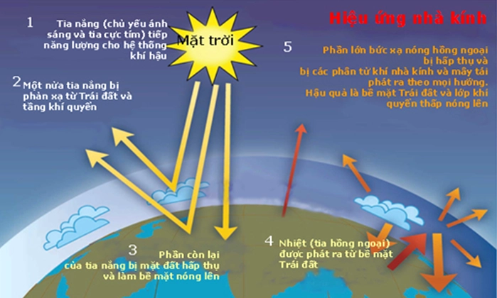 Phá rừng làm tăng hiệu ứng nhà kính