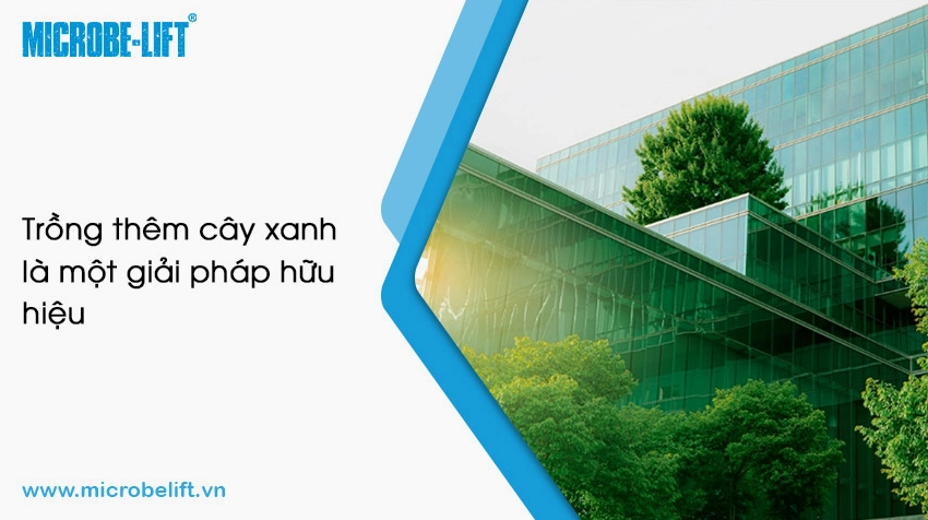 Tổng quan về cơ chế hiệu ứng nhà kính